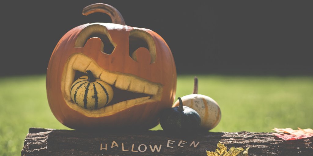 Groom Box tweet media