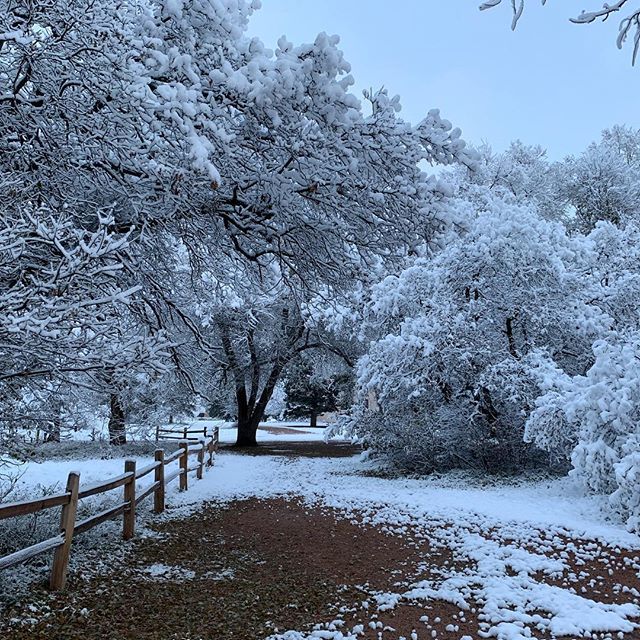 ❄️ 🌨 Maybe it just me and all the 8 year olds out there but there is just something about being the first one to make tracks on a trail after it snows. #trailrunningviews instagram.com/p/BpmdNpIlr1s/