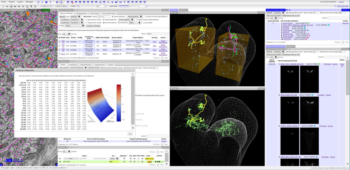 NBLAST support in CATMAID: construct similarity matrices, find similar neurons (top view) and point clouds (bottom view and right column), use landmarks to transform neurons (e.g. contralaterally) and use NBLAST with them (top view), visualize the results.