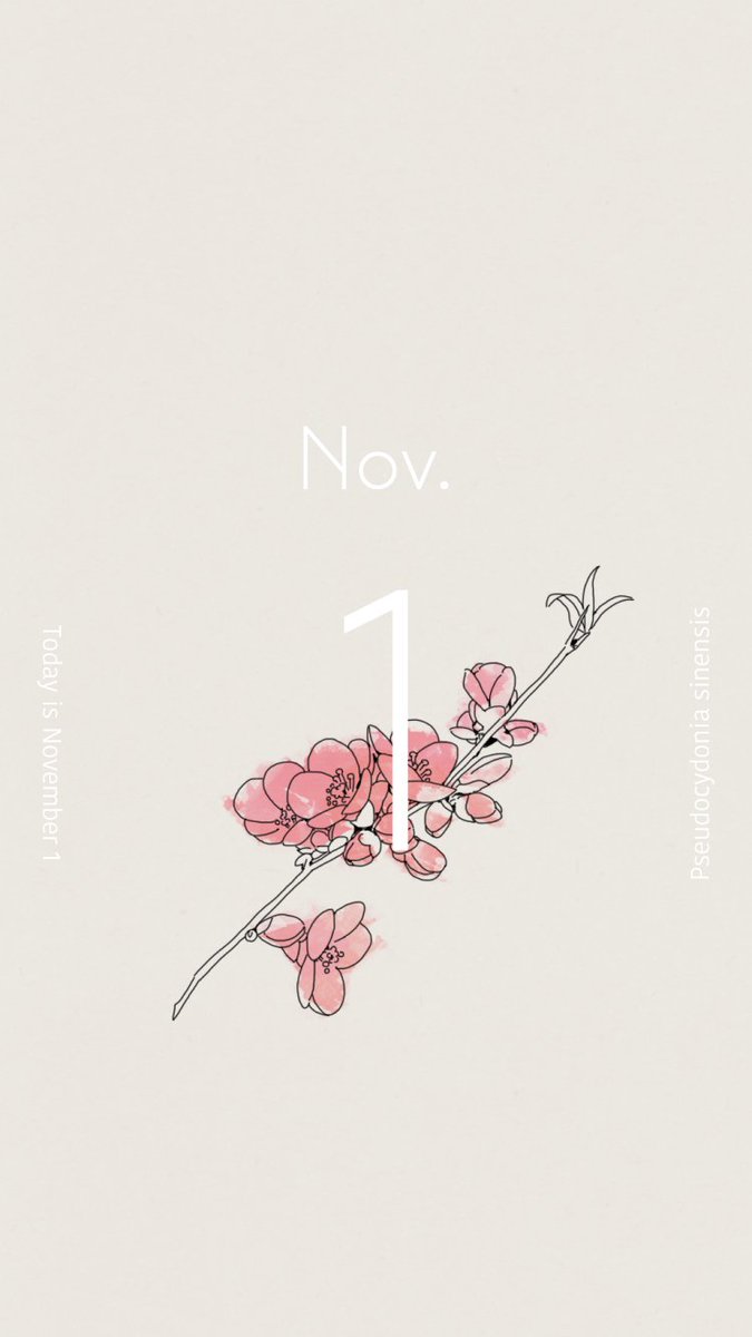ট ইট র 大島悠 Haruka Oshima 18 11 1 カリン 花言葉 唯一の恋 花言葉カレンダー Ohal Letters For December 12月より 月毎にまとめた お便り を開始します お花のカレンダーと その月にあわせてわたしが制作したアイテム ハンカチや巾着など ট ইট র 大島悠 Haruka Oshima 18 11 1 カリン 花言葉 唯一の恋 花言葉カレンダー Ohal Letters For December 12月より 月毎にまとめた お便り を開始します お花のカレンダーと その月にあわせてわたしが制作したアイテム ハンカチや巾着など