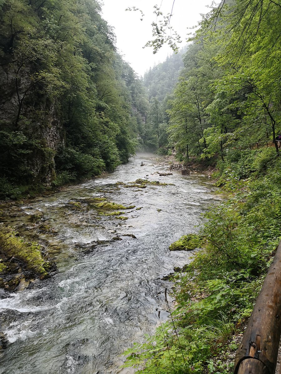 Trav3lM's tweet photo. Vintgar Gorge, Slovenia https://t.co/TeR2ZXAUHX