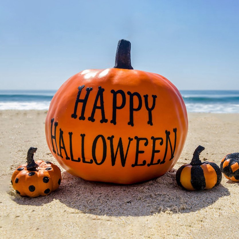 SeaBeastGear's tweet photo. Happy Halloween!
#seabeast #halloween https://t.co/Dx4BruThUi