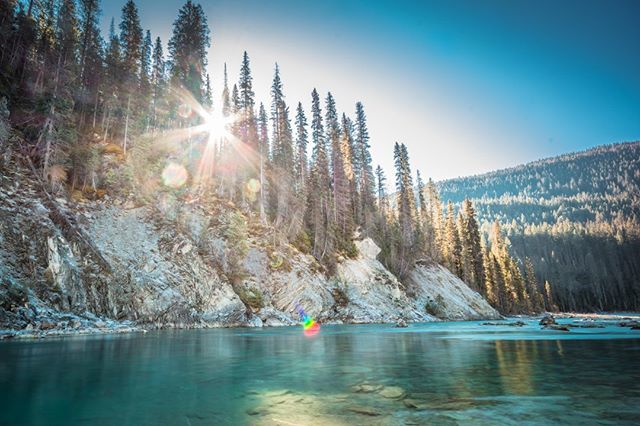 SGDFphotography's tweet photo. Went to shoot Wapta Falls, good thing I was told to turn around!
.
.
.
.
.
#CanadianCreatives #travel #travelbc #golden #GoldenBC #ExploreBC #ExploreGolden #explore #outside #wildlife #Waterfalls #BCParks #hiking #adventure #nikon #sigma #mountainlife #n… https://t.co/gP7eLCdYVi https://t.co/QCgO1h1NNL