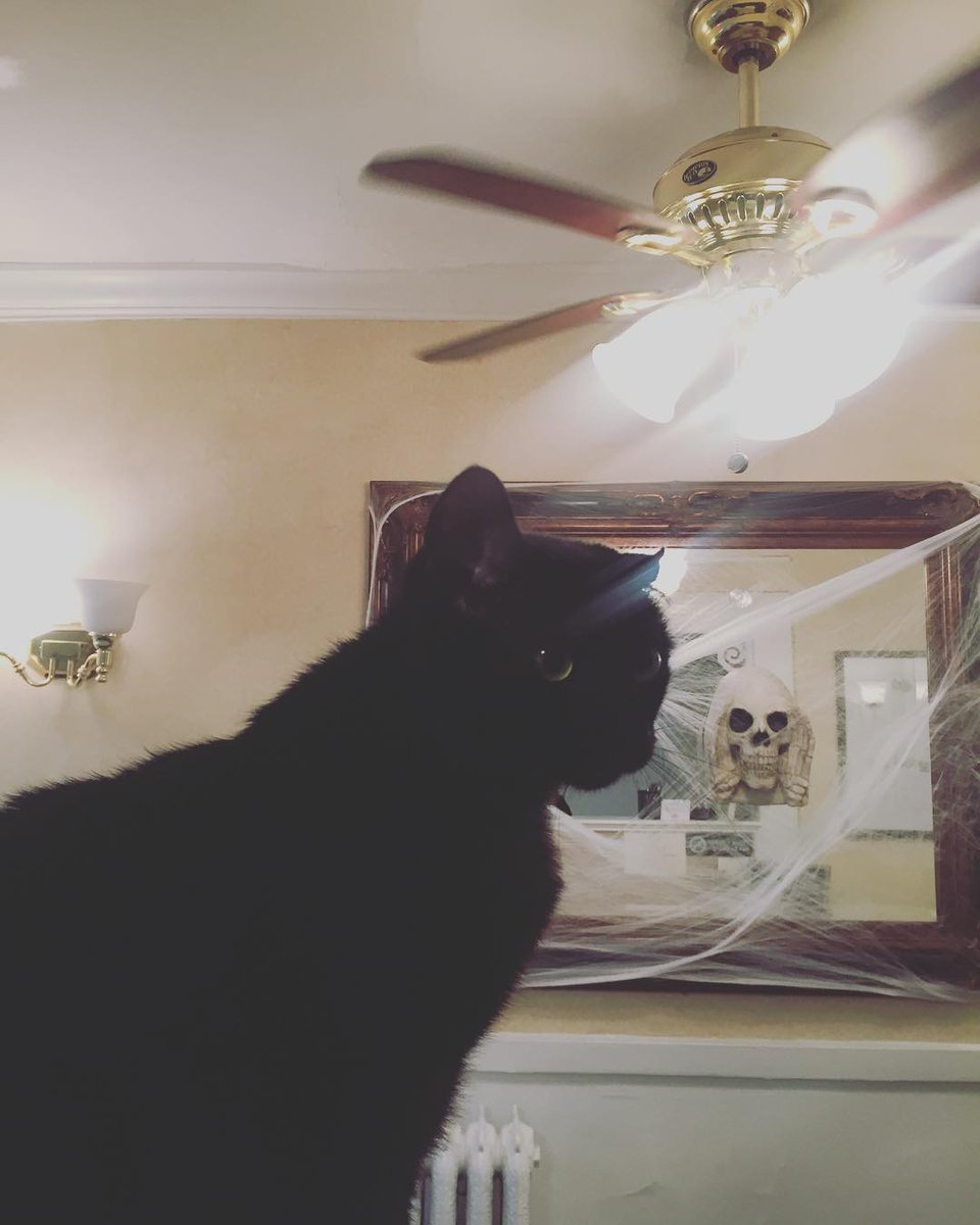 Highland Inn tweet media