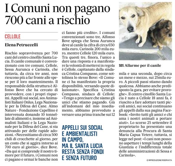 Su <a href="/mattinocaserta/">ilmattinodicaserta</a> il caso del Centro Cinofilo Santa Lucia di #cellole 
➡️abbiamo donato 10 tonnellate di cibo per i 700 cani della struttura che rischiano di morire di fame. Ora il via a rapide adozioni.. e che tutti facciano la propria parte. @LNDC_NAZIONALE <a href="/Animalistiitaly/">Animalisti Italiani</a>
