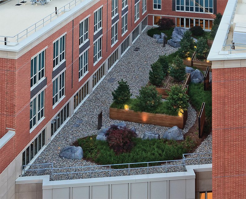 TheHardscaper's tweet photo. Are you ready for the Green Roof Initiative? We are! Colorado Hardscapes has already put artificial rocks into roof top gardens. For example this Albany Medical Center we completed in 2014. #greenroofs #coloradohardscapes https://t.co/p1IcWoSy2b