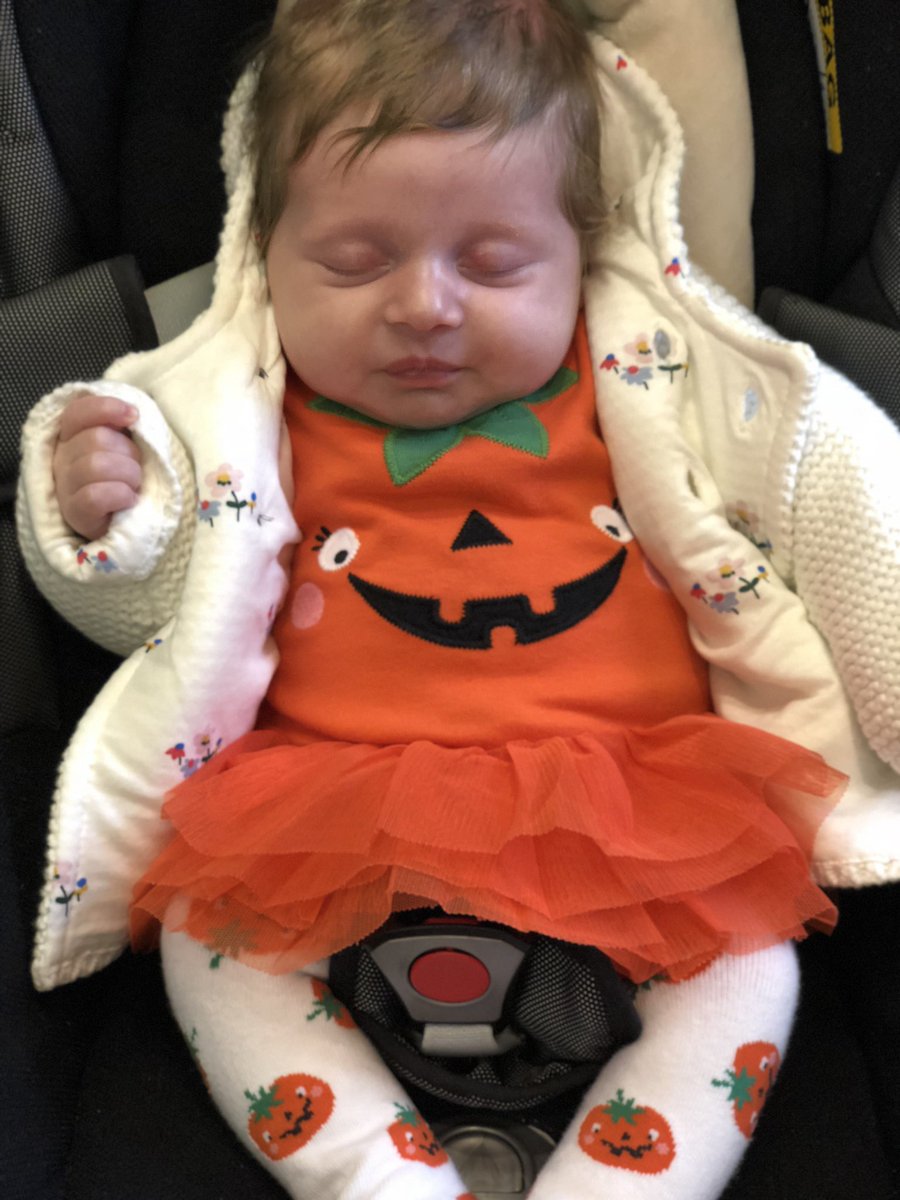 At just 6 weeks of age, beautiful Nansi came ‘trick or treating’ <a href="/barnumspenarth/">Barnums</a> today!🎃 #Halloween #TrickOrTreating #pumpkin