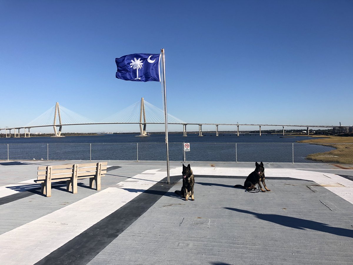 Without zooming in, can you tell which one is me and which one is K9 Joney?! Ma says we’re practically twins. 🤷🏻‍♂️#gsd #k9 #workingdog #k9apart #twins #livepd #livepdnation #ussyorktown #ravanelbridge