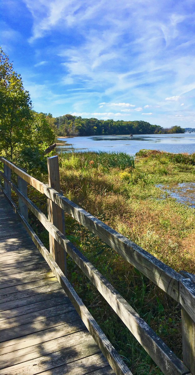 Renee Sklarew tweet media