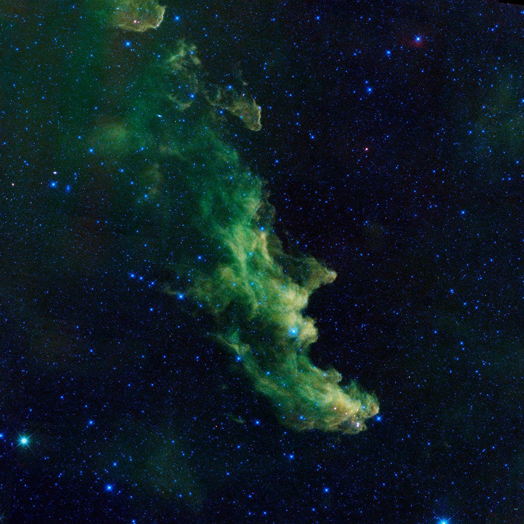 NASA's tweet photo. Every day is #Halloween in space! We spotted the profile of a wicked witch in billowy clouds of a nebula where baby stars are brewing and being lit up by massive stars. Get a closer look at the Witch Head nebula: https://t.co/rw40BzUhwc https://t.co/D9x33xRG09