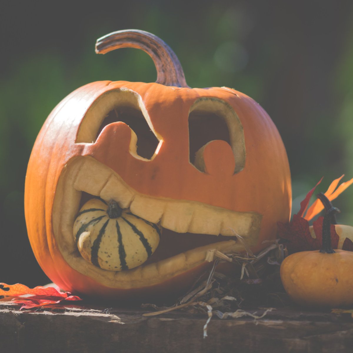 May all of you have a fa-boo-lus Halloween!