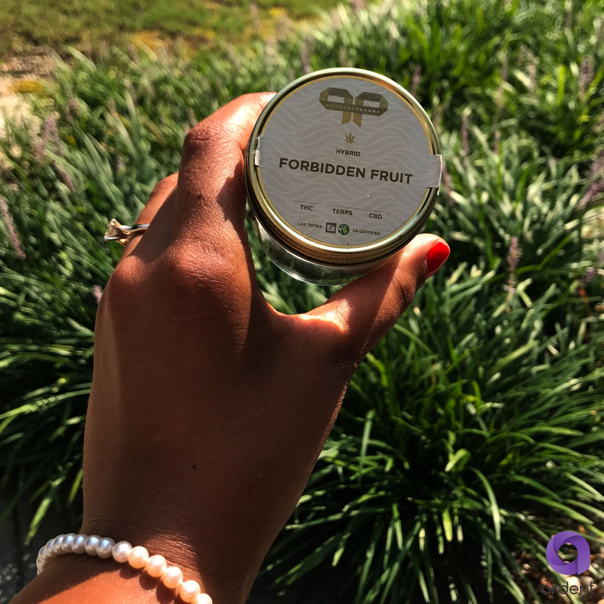 ArdentCannabis's tweet photo. Take your experience to the next level! #decarbed bud is full activated and 'high'-ly effective. Check out the #Nova and get #ActivatedbyArdent https://t.co/W1aKKX9jcj