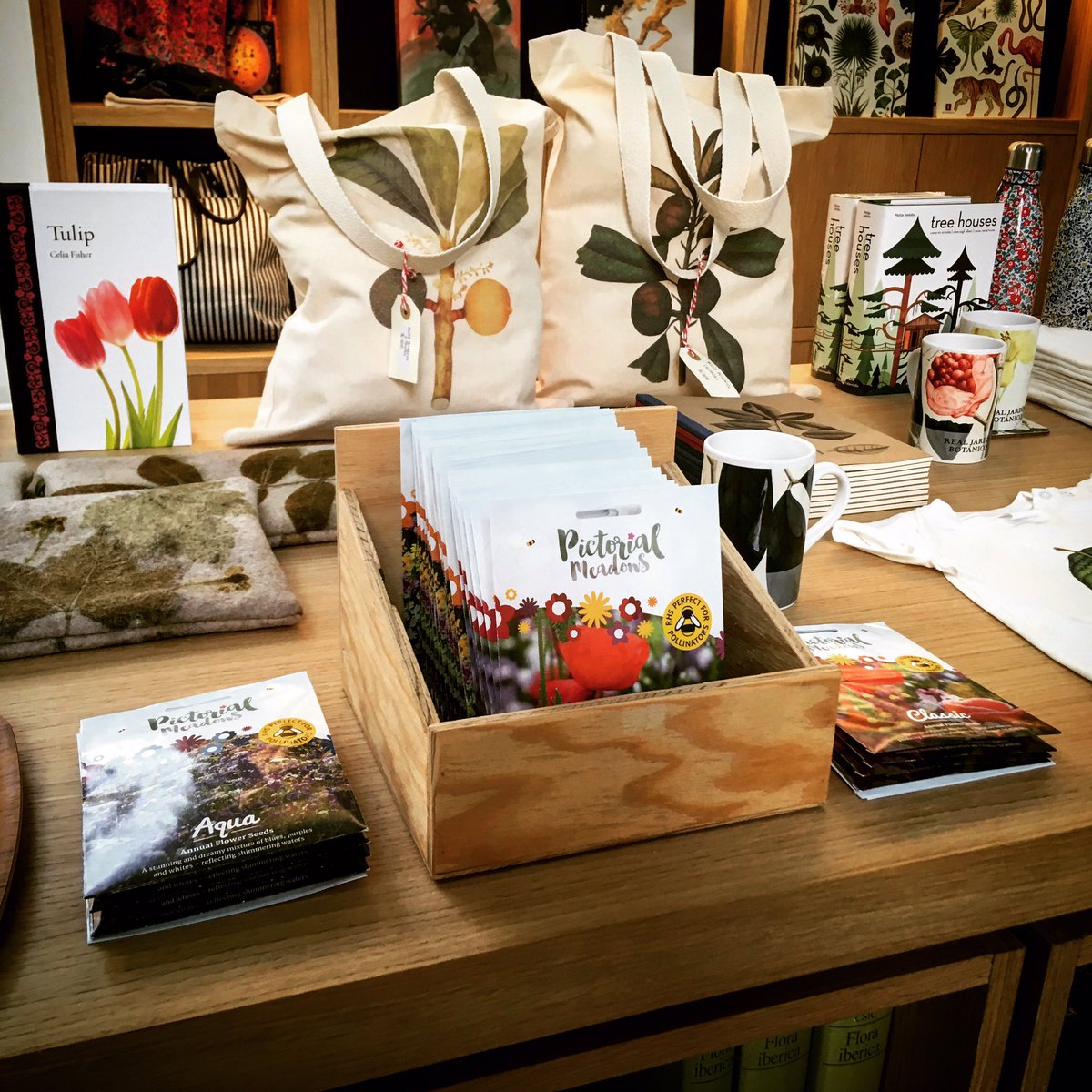 PictMeadowSpain's tweet photo. Pictorial Meadows para parterres pequeños o jardineras! Ahora puedes elegir tu #pradera de #anuales en la tienda del @RJBOTANICO. Cada paquete cubre unos 2-3m2. Siembra ahora y disfruta en primavera! @PictorialMeadow https://t.co/0r53rjGXuq