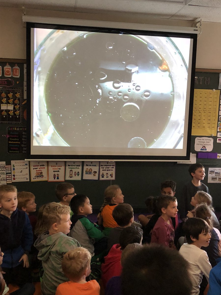 MrsFunk1's tweet image. Happy Halloween from First Grade with a little witches’ brew! #StoryTellingFun @EzraElementary @MPS_MrsMcKenzie #HappyHalloween