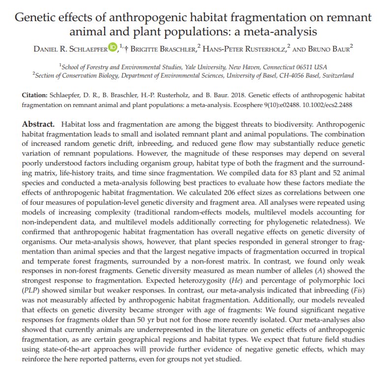 New meta-analysis on the genetic impacts of #HabitatFragmentation. Finds genetic diversity reduced w fragmentation. Especially forest plants, and especially after 50 years.

esajournals.onlinelibrary.wiley.com/doi/10.1002/ec… by Daniel Schlaepfer et al. (open access)