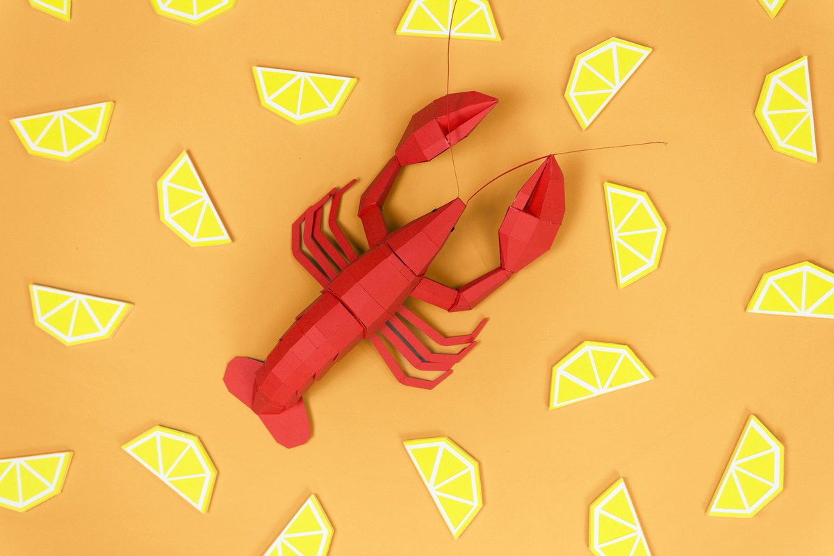 OupasDesign's tweet photo. New project in Behance 🦞https://t.co/H65FPEGy5m https://t.co/5PgXZ3QrLI