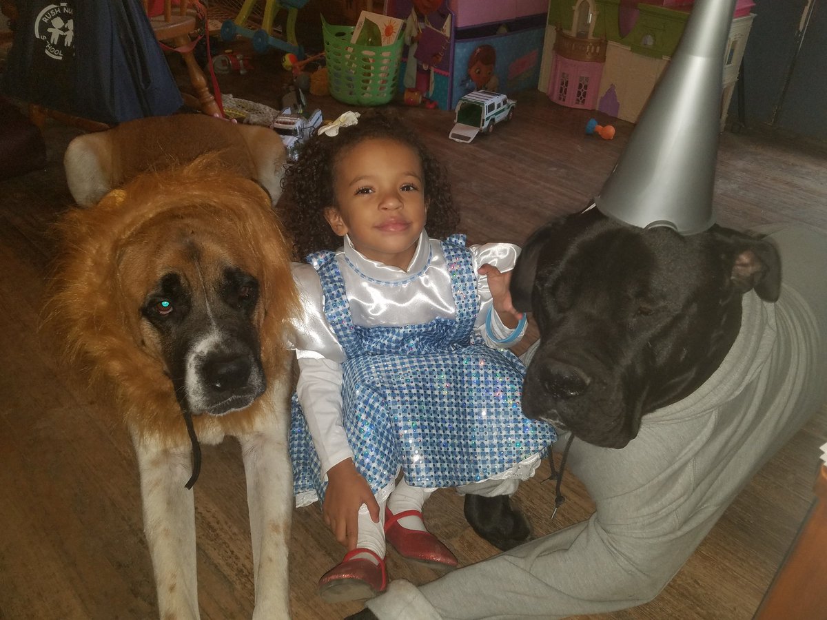 themerchon's tweet photo. #HappyHalloween from the tin man Dorothy and the cowardly lion #DAILYPOP https://t.co/QMozZiZTeT