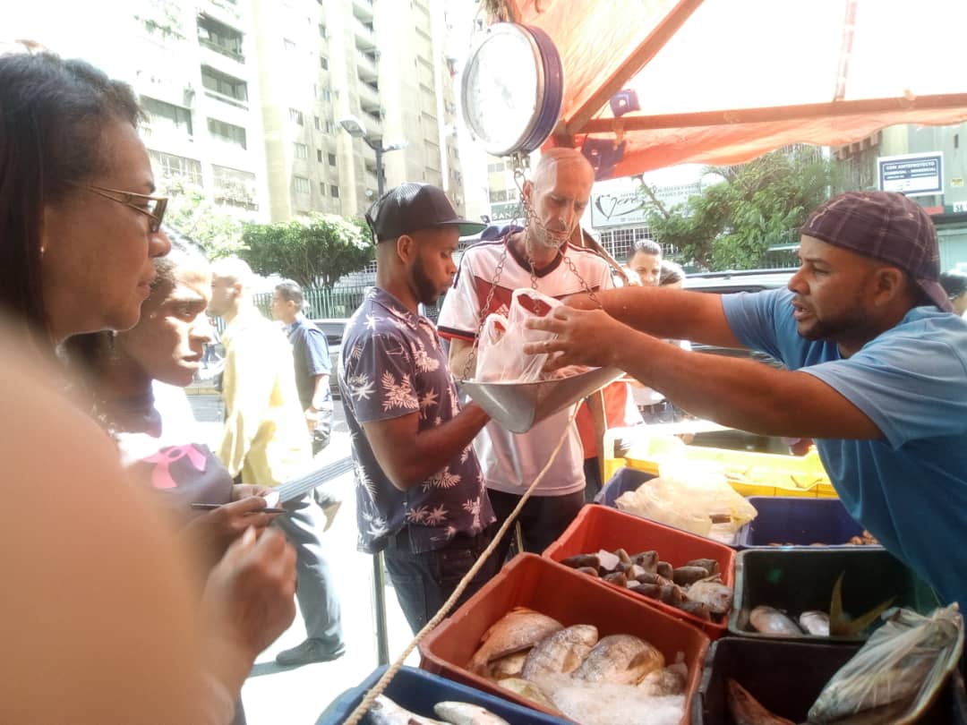 mintransporteve's tweet photo. Por instrucciones del Ministro @tupamarohipolit, se lleva cabo una jornada de venta de pescado para el beneficio de las trabajadoras, trabajadores y la comunidad de Chacao en el marco del Punto y Círculo.
_
#PetroEstabilidadEconómica https://t.co/bAJ0EsF5Lo