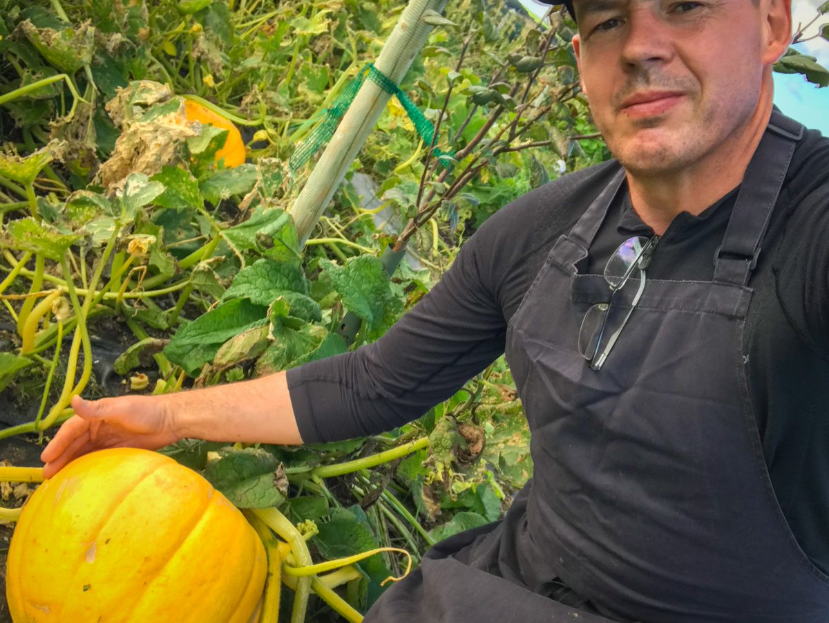 thesevenheads's tweet photo. 2018 Pumpking harvest @thesevenheads . #HappyHalloween #nodig #permaculture #polyculture #chemicalfree #savethebees #sustainability
#eatmostlyplants #MyWildAtlanticWay #PureCork #SevenHeadsPeninsula  #WildAtlanticWay #thesevenheads #WestCork #WAWHour https://t.co/XNOATp13oB