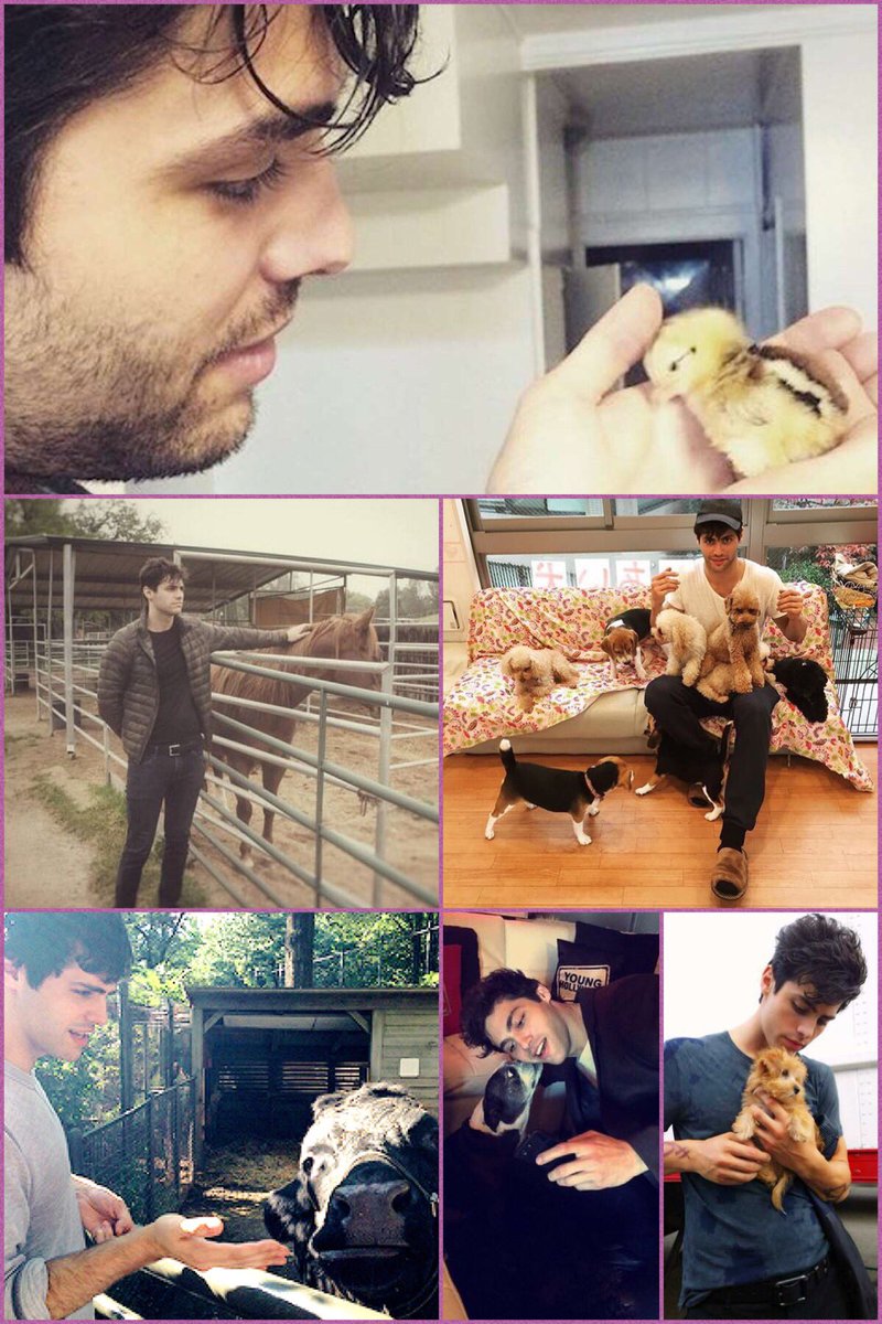 StarkSebCEvans's tweet photo. 31) What would you say if you could talk to him?

Imagine for a second that I would be able to actually form words, I’d tell him that he’s one of my role models, compliment him on his wildlife photography &amp; then just talk animals for ages #MattAppreciationMonth #SaveShadowhunters https://t.co/y2caGAyO71