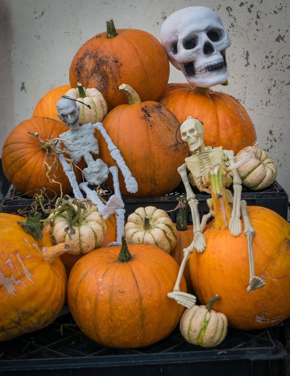 thesevenheads's tweet photo. Happy Halloween from @thesevenheads  #HappyHalloween #nodig #permaculture #polyculture #chemicalfree #savethebees #sustainability #MyWildAtlanticWay #PureCork #SevenHeadsPeninsula  #WildAtlanticWay #thesevenheads #WestCork #WAWHour https://t.co/Hih1nz2bim
