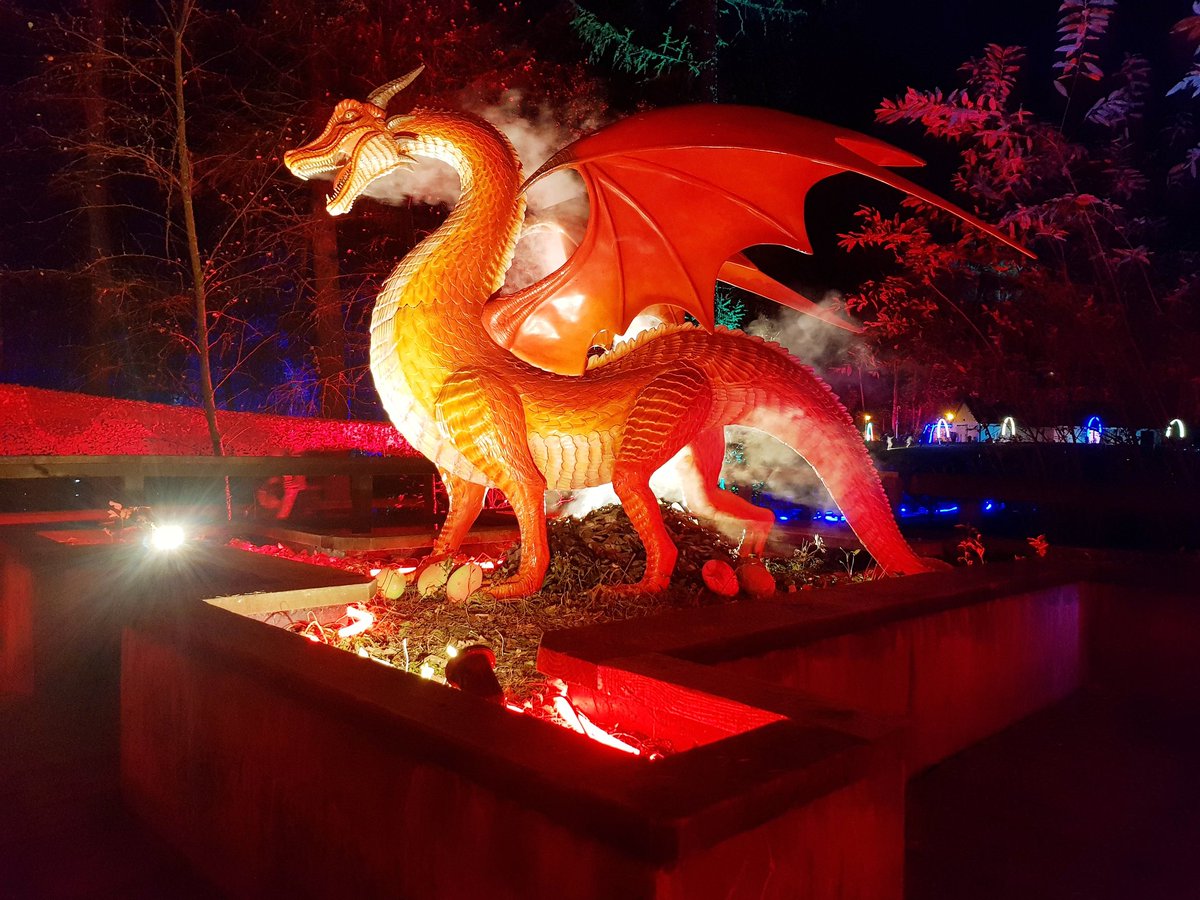 GarethDMorrison's tweet photo. Happy Halloween from @DCCPIlluminight
#uniqueevents #killmarnock #dragon #Halloween #illuminightlidl https://t.co/uOQNIGt3Sg