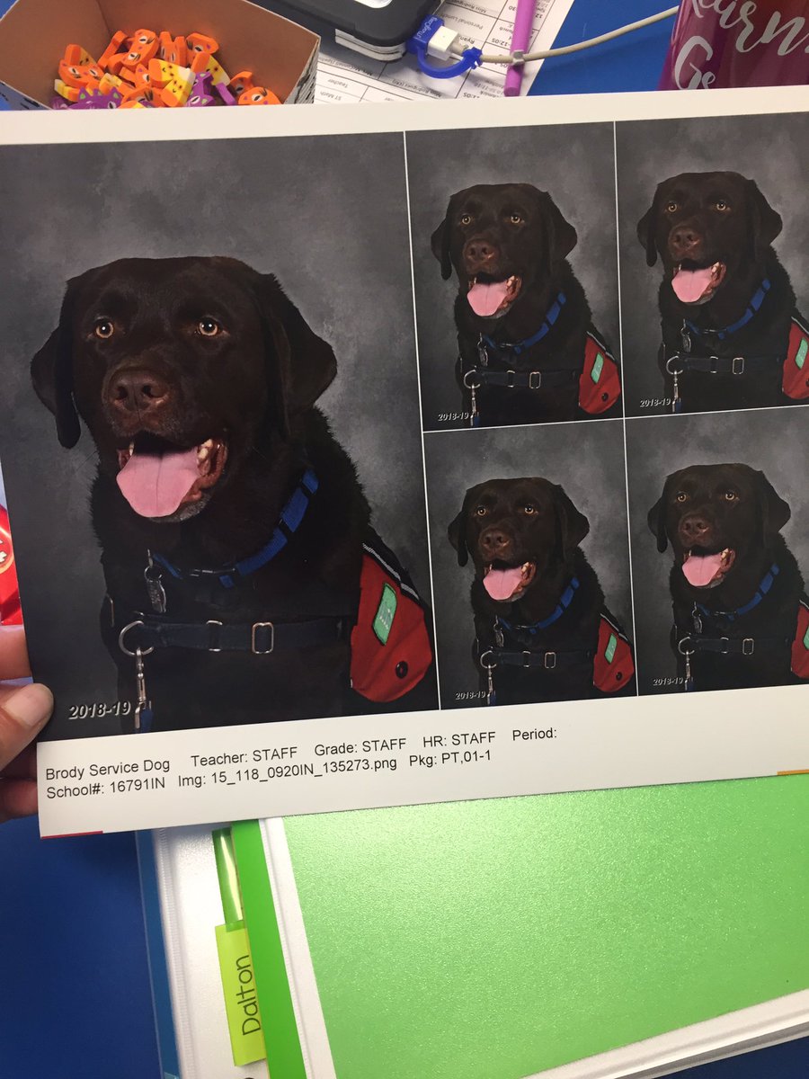 BrodeyNES's tweet photo. School pic 2018-2019. #WEARENORTHERN https://t.co/URXWowT3A4