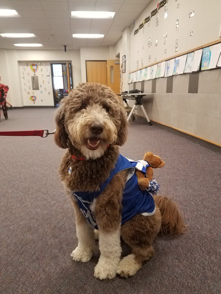 Happy Halloween from this Bluejay fan!!!   <a href="/GoBluejays1/">ASHLAND-GREENWOOD</a>