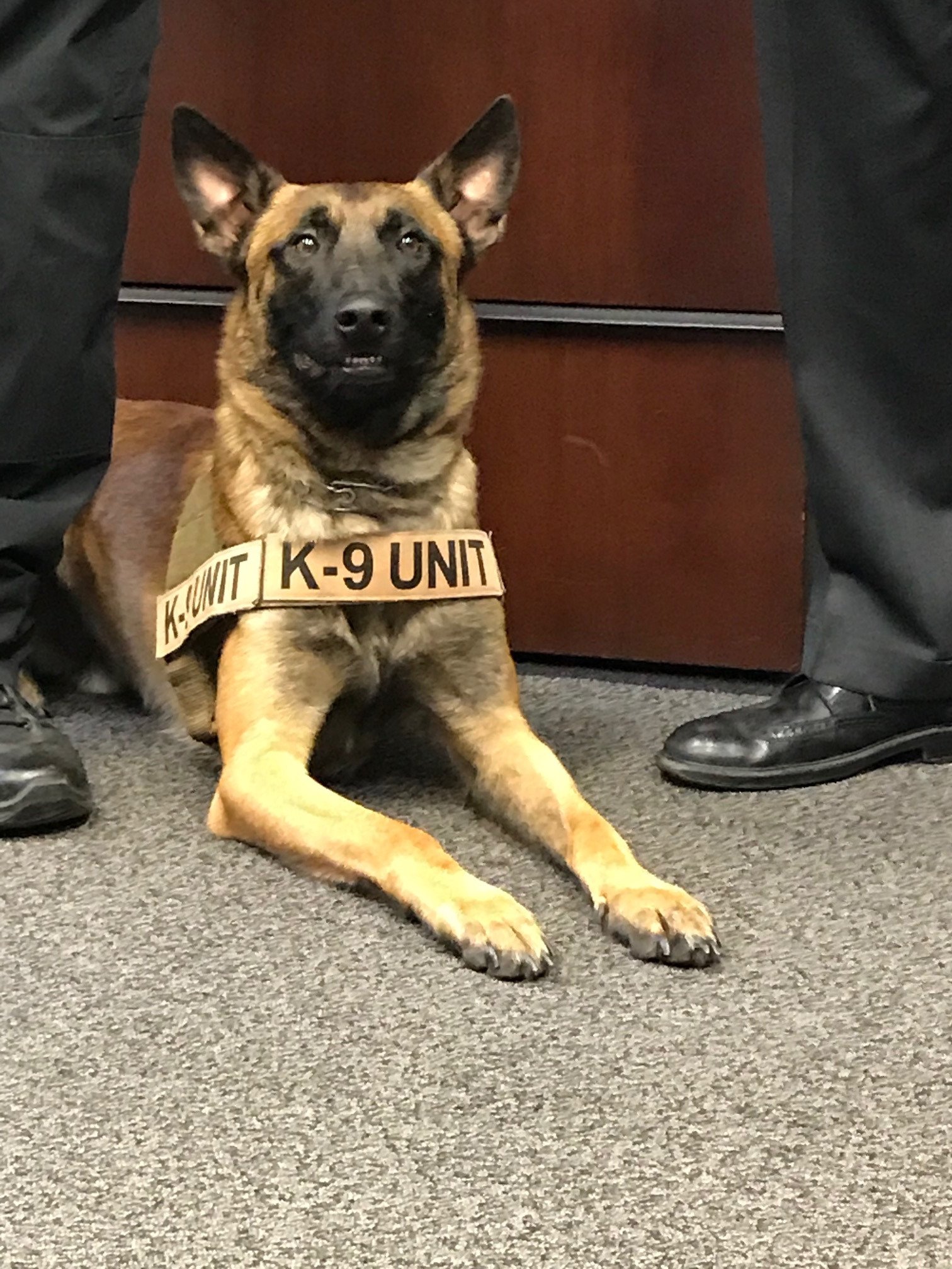 Dea k9 store unit
