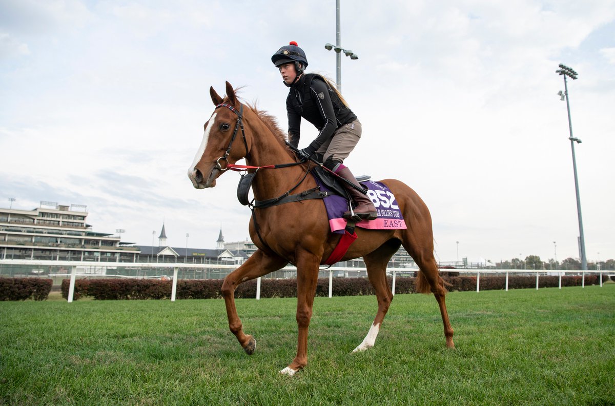 ITM (@irethoroughbred) on Twitter photo 2018 <a href="/Goresbridge2yos/">Goresbridge BreezeUp</a> sale-topper EAST is photographed at <a href="/ChurchillDowns/">Churchill Downs</a> ahead of the <a href="/BreedersCup/">Breeders' Cup</a>. The Kevin Ryan-trained filly is unbeaten in 2 career starts and will contest the Grade 1 Juvenile Fillies Turf on Friday. 2018 <a href="/Goresbridge2yos/">Goresbridge BreezeUp</a> sale-topper EAST is photographed at <a href="/ChurchillDowns/">Churchill Downs</a> ahead of the <a href="/BreedersCup/">Breeders' Cup</a>. The Kevin Ryan-trained filly is unbeaten in 2 career starts and will contest the Grade 1 Juvenile Fillies Turf on Friday.