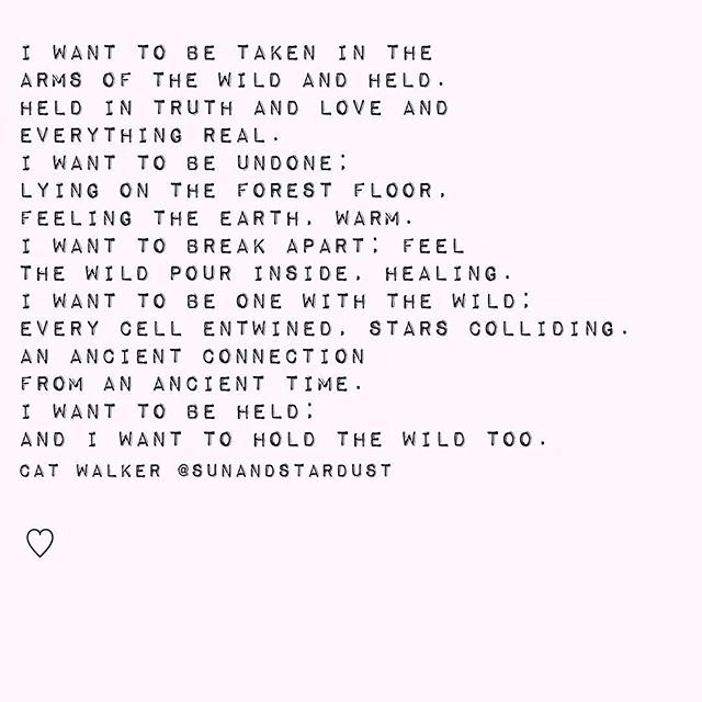 sunandstardust's tweet photo. The Wild.🌲✨🐺🍃🍂 Something I wrote a few weeks ago. https://t.co/5WchAV5nFh https://t.co/jktvbQQ5I2