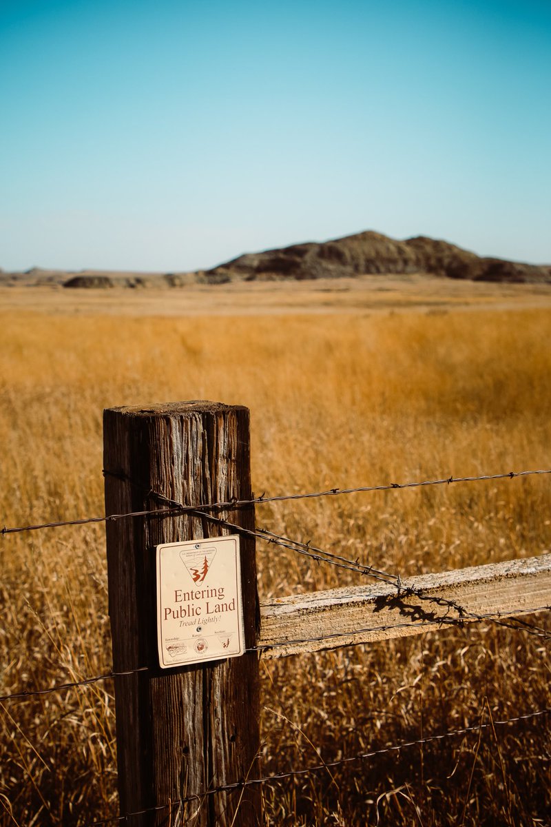 ultimateupland's tweet photo. Yes, yes we are #publiclandowner #publiclands #wildplaces #royalforest https://t.co/dPjyzIuRIR