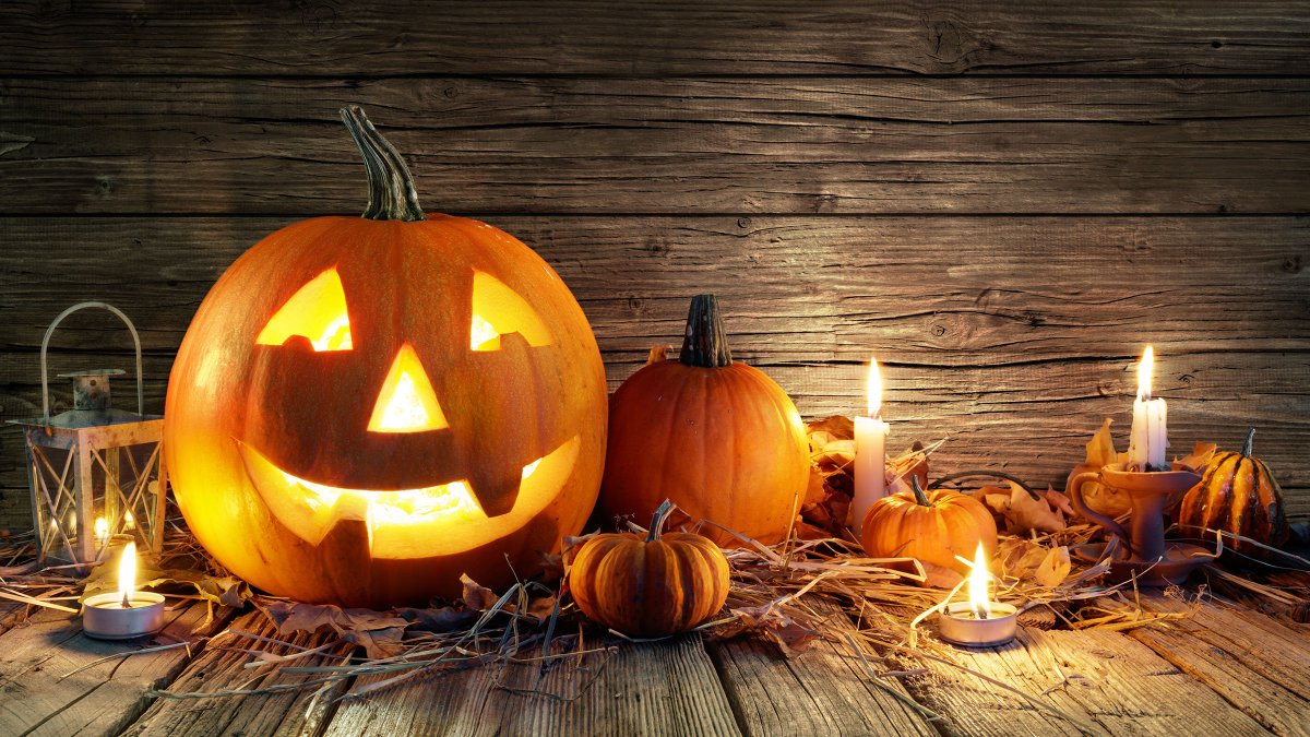 ๐ฆ Rekha Valliappan ๐ (@silicasun) on Twitter photo #HappyHalloween #WeirdWednesday TQ @fettkeven <a href="/gjkendall/">Kendall Reviews</a> <a href="/Lynne_Jean/">Lynne Morley</a> @LitaLockeAuthor <a href="/CAASBREY/">C A Asbrey</a> @rogerbray22 <a href="/GirlThatWrites1/">GirlThatWrites</a> @sootygrunter79 @mywritersnook <a href="/EAClarkAuthor/">Elizabeth Anne Wyn Clark</a> <a href="/DarrenEdden/">Darren M. Edden</a> <a href="/jsnapebooks/">Jessica Doe</a> <a href="/coffin_bell/">๐ธ โญ๐ฌ๐ฃ๐ฃ๐ฆ๐ซ ๐
๐ข๐ฉ๐ฉ ๐๐ฌ๐ฒ๐ฏ๐ซ๐๐ฉ ๐ธ</a> <a href="/ZenCatPottery/">Zen Cat Pottery</a> <a href="/nytemoves/">Rekeaux Nyte (A RUNNING WRITER)</a> <a href="/Embrellon1/">John R Moore</a> <a href="/NeilBolton/">Neil Bolton</a> @DebSolice ๐พโ ๏ธ๐ฆ๐ค #HappyHalloween #WeirdWednesday TQ @fettkeven <a href="/gjkendall/">Kendall Reviews</a> <a href="/Lynne_Jean/">Lynne Morley</a> @LitaLockeAuthor <a href="/CAASBREY/">C A Asbrey</a> @rogerbray22 <a href="/GirlThatWrites1/">GirlThatWrites</a> @sootygrunter79 @mywritersnook <a href="/EAClarkAuthor/">Elizabeth Anne Wyn Clark</a> <a href="/DarrenEdden/">Darren M. Edden</a> <a href="/jsnapebooks/">Jessica Doe</a> <a href="/coffin_bell/">๐ธ โญ๐ฌ๐ฃ๐ฃ๐ฆ๐ซ ๐
๐ข๐ฉ๐ฉ ๐๐ฌ๐ฒ๐ฏ๐ซ๐๐ฉ ๐ธ</a> <a href="/ZenCatPottery/">Zen Cat Pottery</a> <a href="/nytemoves/">Rekeaux Nyte (A RUNNING WRITER)</a> <a href="/Embrellon1/">John R Moore</a> <a href="/NeilBolton/">Neil Bolton</a> @DebSolice ๐พโ ๏ธ๐ฆ๐ค