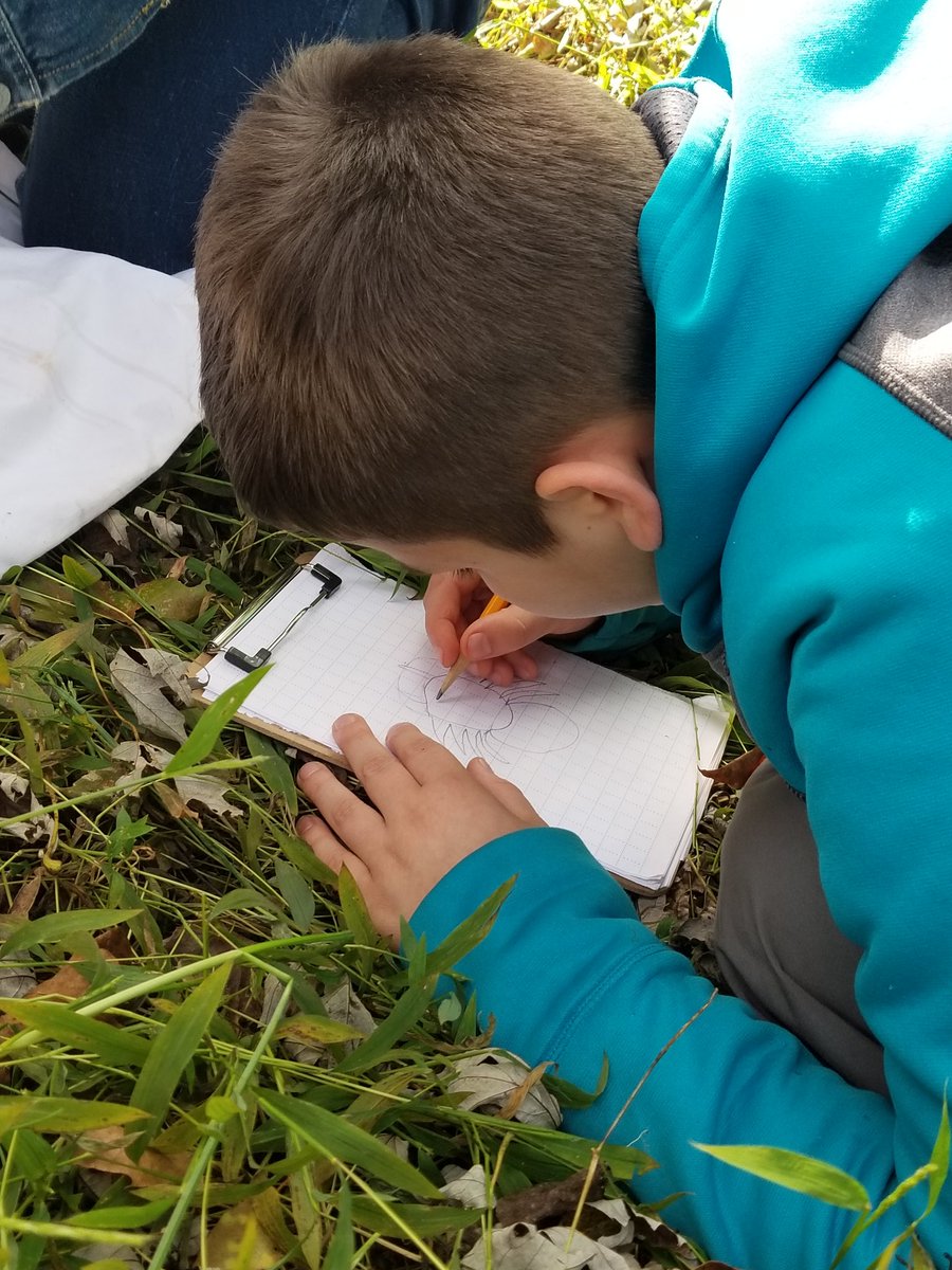 MKJozwick's tweet photo. Another successful BioBlitz for @CatonsvilleES.  Thank you @BCPSOutdoorSci @GIS_Cromwell @BCPSSci https://t.co/3QFd2qosIw