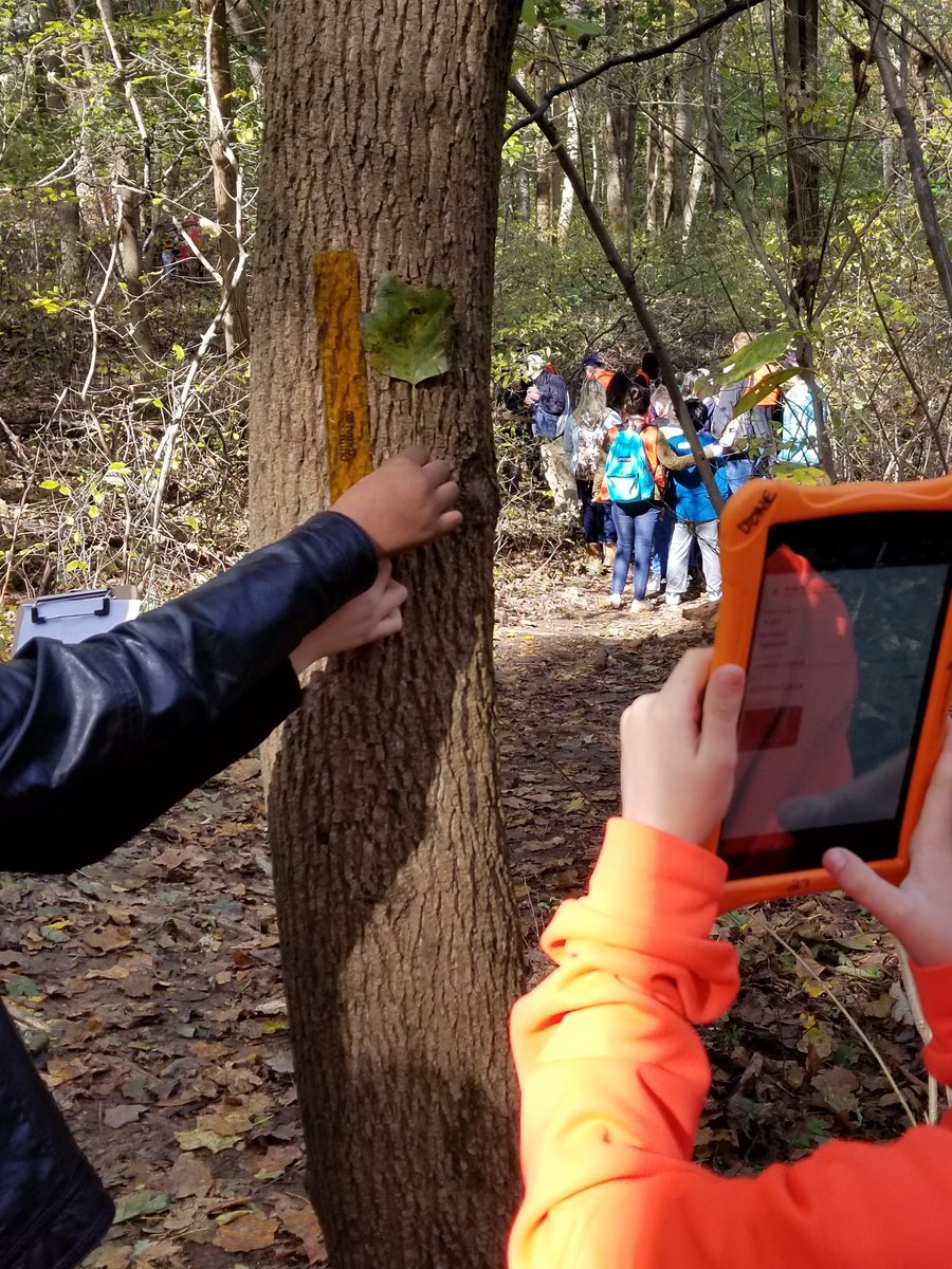 MKJozwick's tweet photo. Another successful BioBlitz for @CatonsvilleES.  Thank you @BCPSOutdoorSci @GIS_Cromwell @BCPSSci https://t.co/3QFd2qosIw