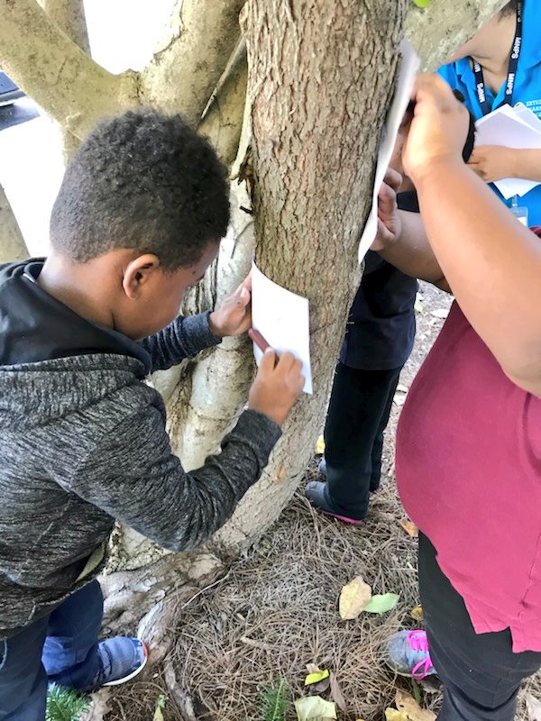 sandramohrmnps's tweet photo. Leaf and bark rubbings to kick off our November study of Fall! @ExtLearningMNPS https://t.co/8yNhSJ0hUX