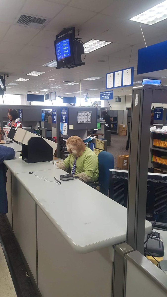 A DMV employee dressed up as a sloth 💀😭