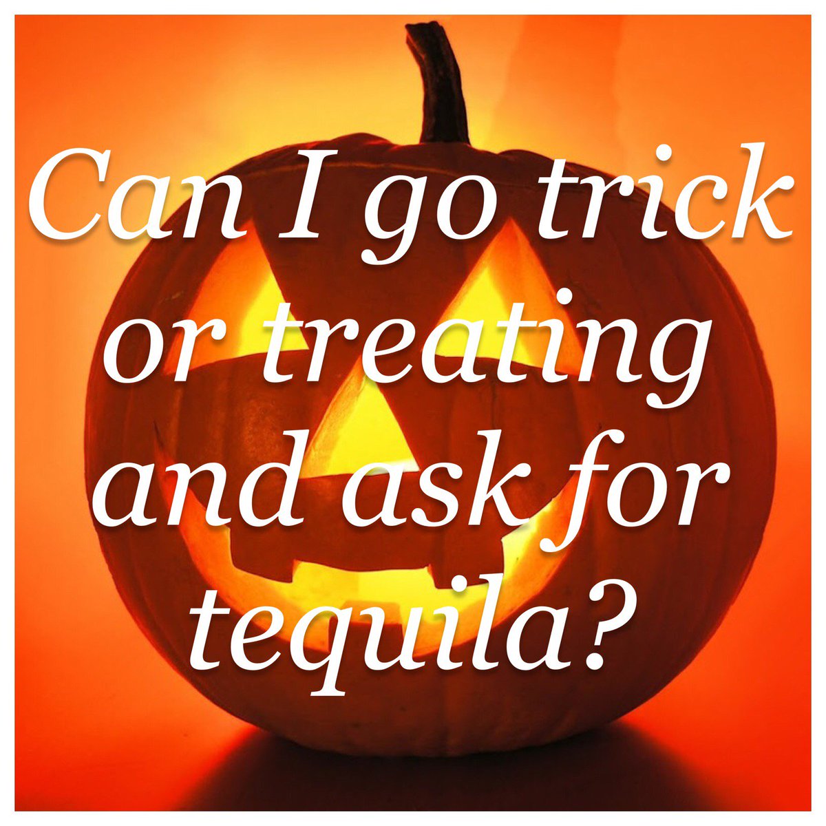 Asking for a friend! 😉

#elguaposdowntown #tequila #trickortreat #halloween #downtowntulsa #margaritas #dontguapbelievin #guaptilyoudrop #918 #october31