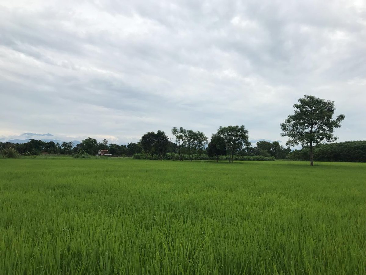 VCDNepal's tweet photo. Beautiful Torikhet village. VCD Nepal's one of the most beautiful village placement for international volunteers!
#vcdnepal https://t.co/62383Wa5pu