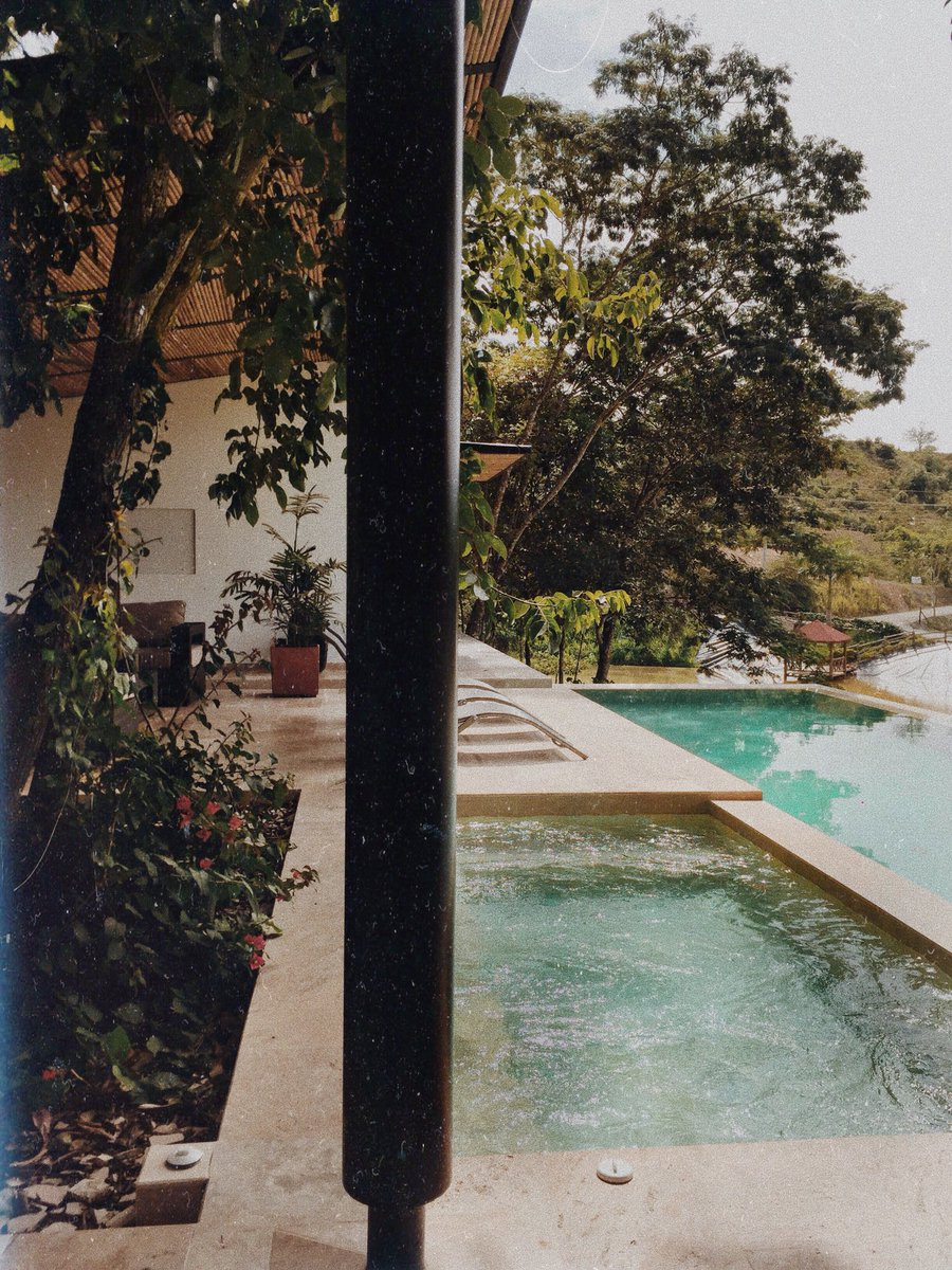 estebancastillc's tweet photo. Dos maneras de ver la vida 🌴 https://t.co/vqwsob3LKJ