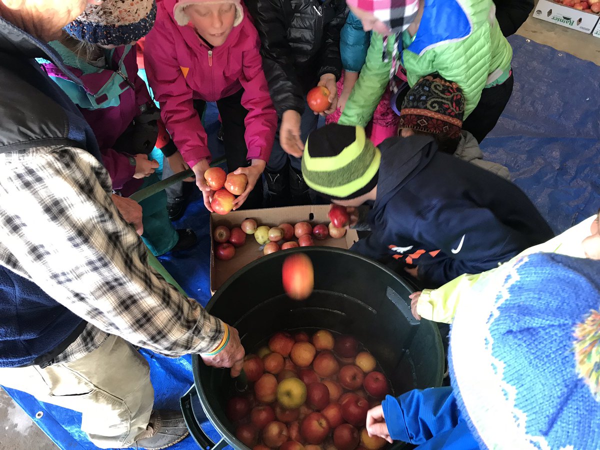 prosisefrisco's tweet photo. Walked to the Little’s home to make apple cider with their homemade cider press. Took 290 pounds of apples with us! @FREprincipal @STEMFrisco https://t.co/IJdMW2HIIb