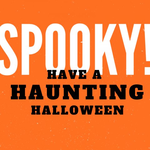 GenieCWLamar's tweet photo. If the state of your car is causing you a fright, come see us! https://t.co/NGOVZ9CLGy