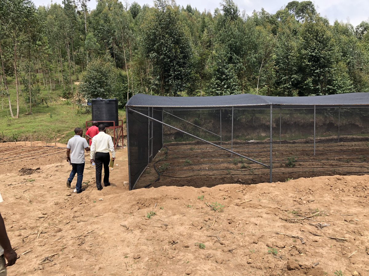 Met 3 klanten van <a href="/Agriterra/">Agriterra</a> in Rwanda businessplannen aan het maken adhv #BusinessModelCanvas. Volop eyeopeners voor trainer en deelnemers.