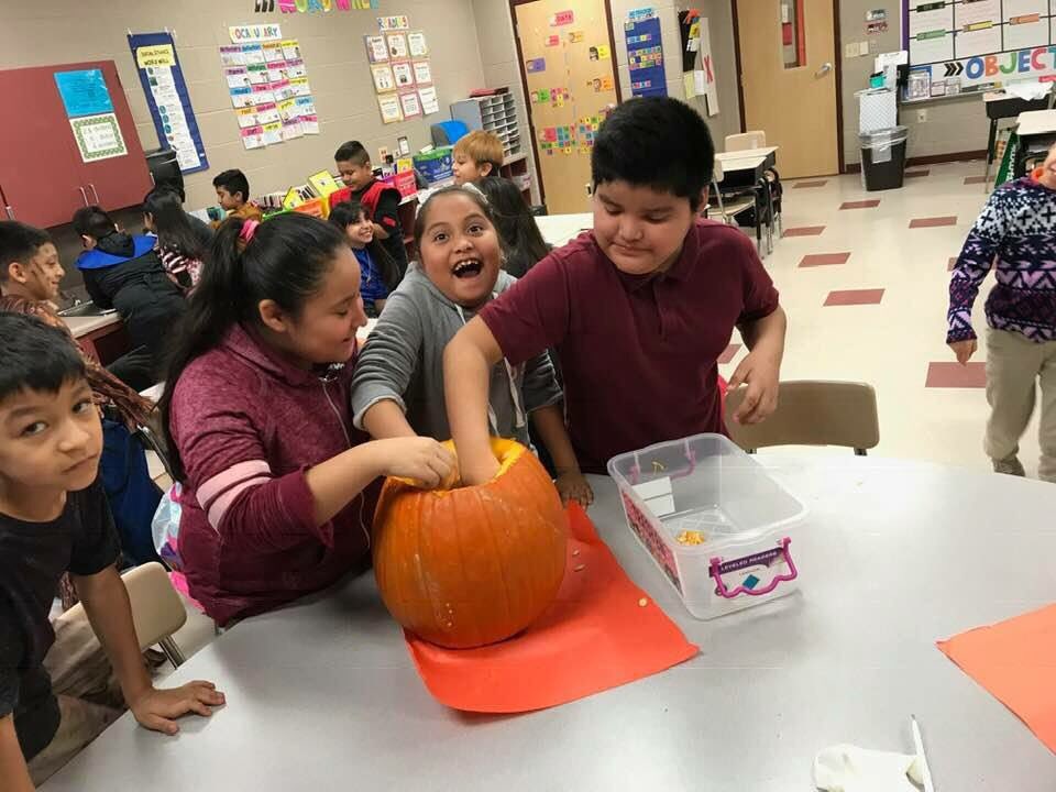 NjohnsonPierce's tweet photo. CSI (Cool Science Investigations): How Many Seeds in a Pumpkin? Ms. Torruco’s 3rd grade class #FunPurposefulLearning #APierceStrong https://t.co/bc5xoKLKVQ