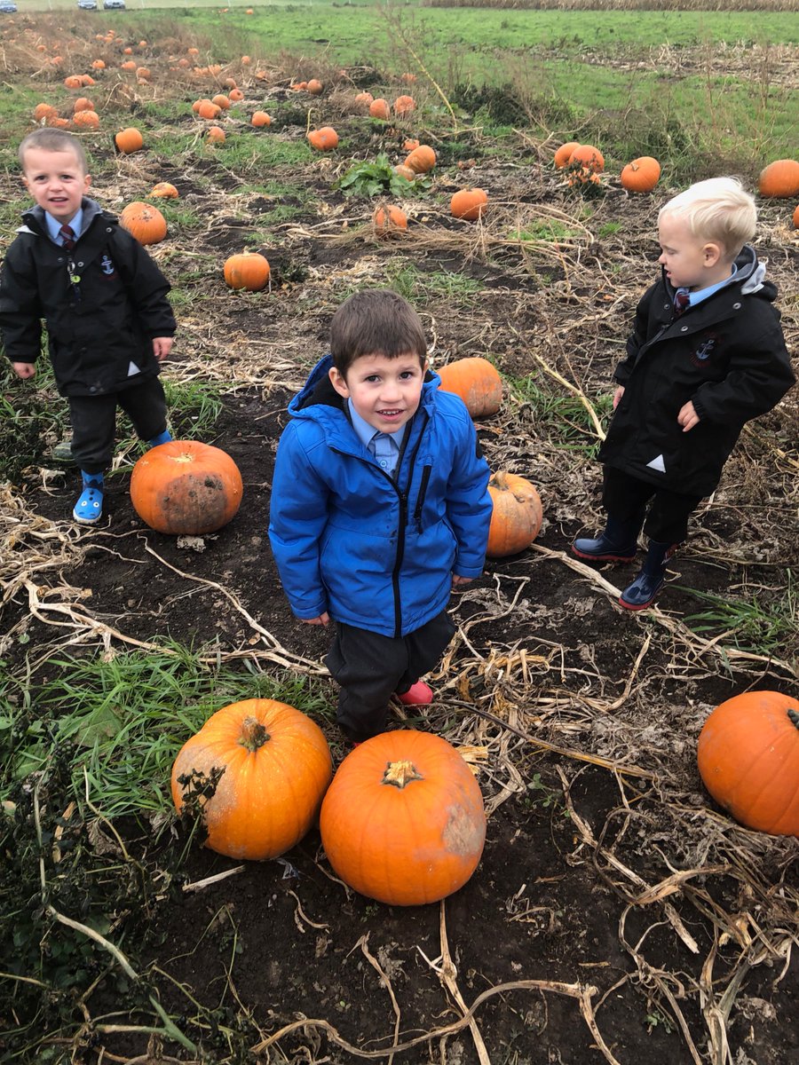 HopePrimarySch's tweet photo. Some Reception children had a fabulous time at the Pumpkin Patch, Hightown today. We collected so many that we created our own pumpkin patch back at school for everyone. Thank you for the free pumpkins and to the staff being so kind and helpful. #pumpkinpatchhightown https://t.co/KqhnuArC14
