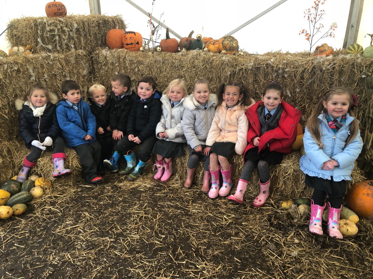HopePrimarySch's tweet photo. Some Reception children had a fabulous time at the Pumpkin Patch, Hightown today. We collected so many that we created our own pumpkin patch back at school for everyone. Thank you for the free pumpkins and to the staff being so kind and helpful. #pumpkinpatchhightown https://t.co/KqhnuArC14