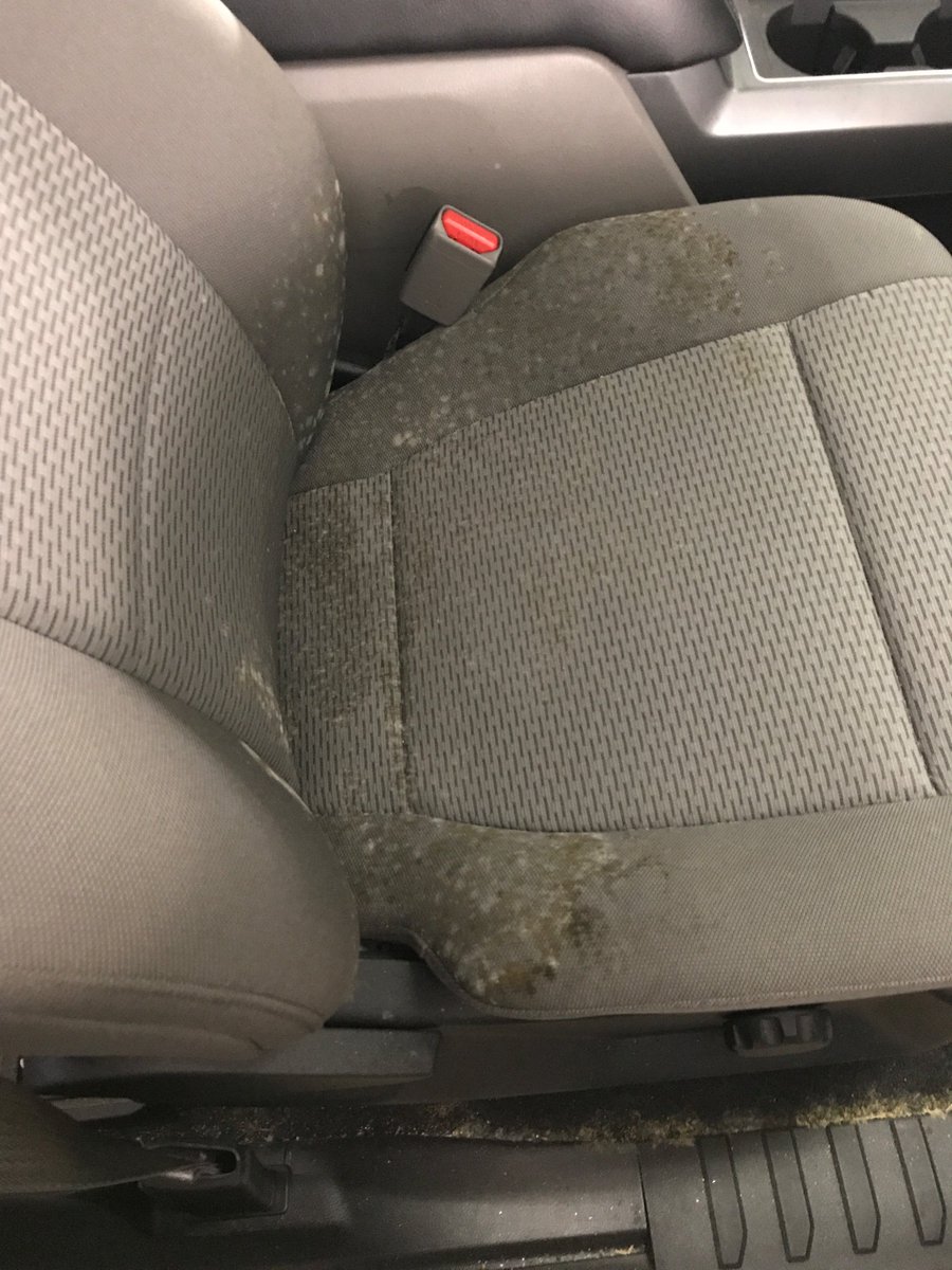 Kevin46843488's tweet photo. My 2017 F150 has been at Jerrys Auto Body in Jackson NJ for 71 days waiting for an axle from Ford. It's been stored with the windows open and the interior is covered in mold. Thank you Jerry, Ford and NJ Maufacturers ins. For taking good care of your customers. https://t.co/OePMAncOH6