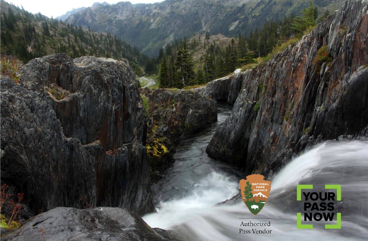 YourPassNow tweet media