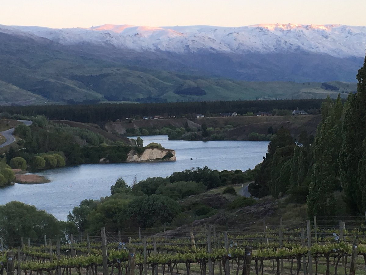 James Ellis tweet media