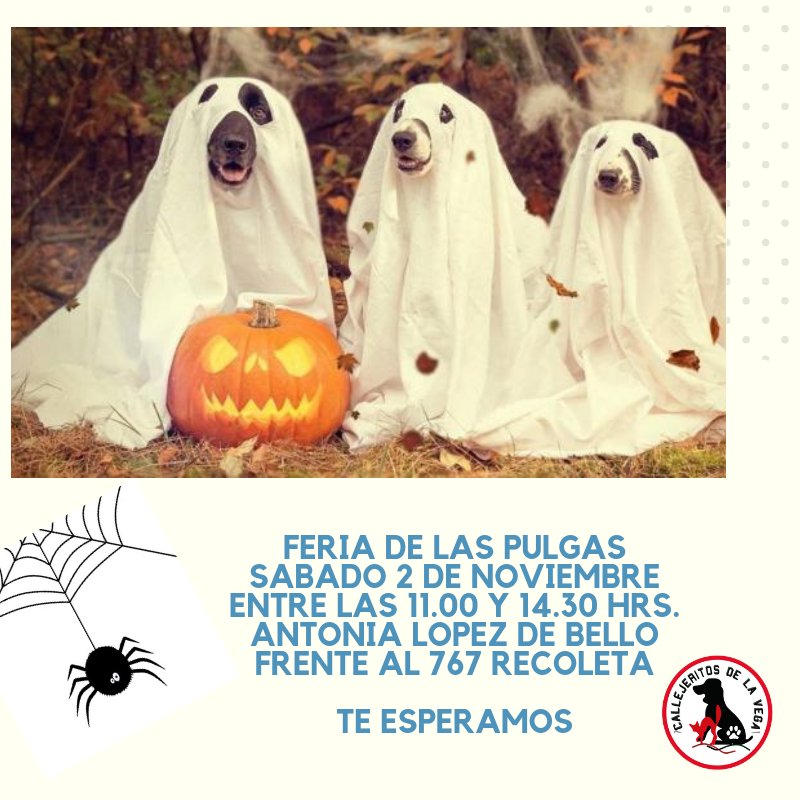 Sábado 3 de noviembre feria de las pulgas #fundacioncallejeritosdelavega en la #vegacentral